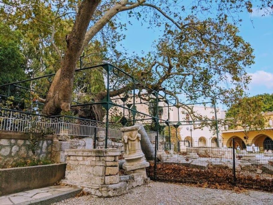 Amalthea Guest House Miasto Kos Zewnętrze zdjęcie