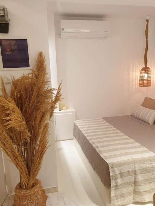 Amalthea Guest House Miasto Kos Zewnętrze zdjęcie