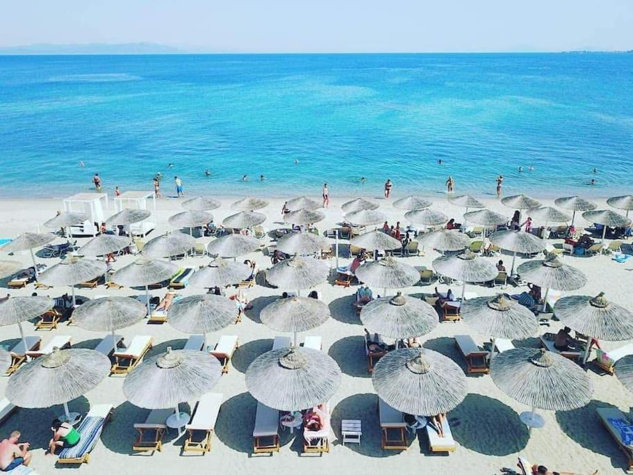 Amalthea Guest House Miasto Kos Zewnętrze zdjęcie